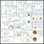 Thanksgiving Science Worksheets No Prep Acitivities   Thrifty In Within Thanksgiving Science Worksheets Free