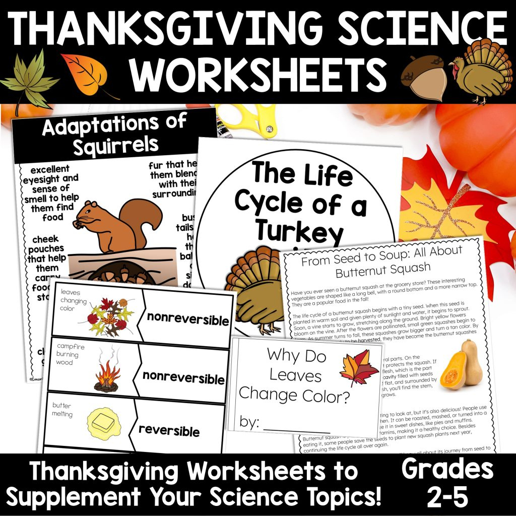 Thanksgiving Science Worksheets No Prep Acitivities - Thrifty In within The Science Of Thanksgiving Worksheet