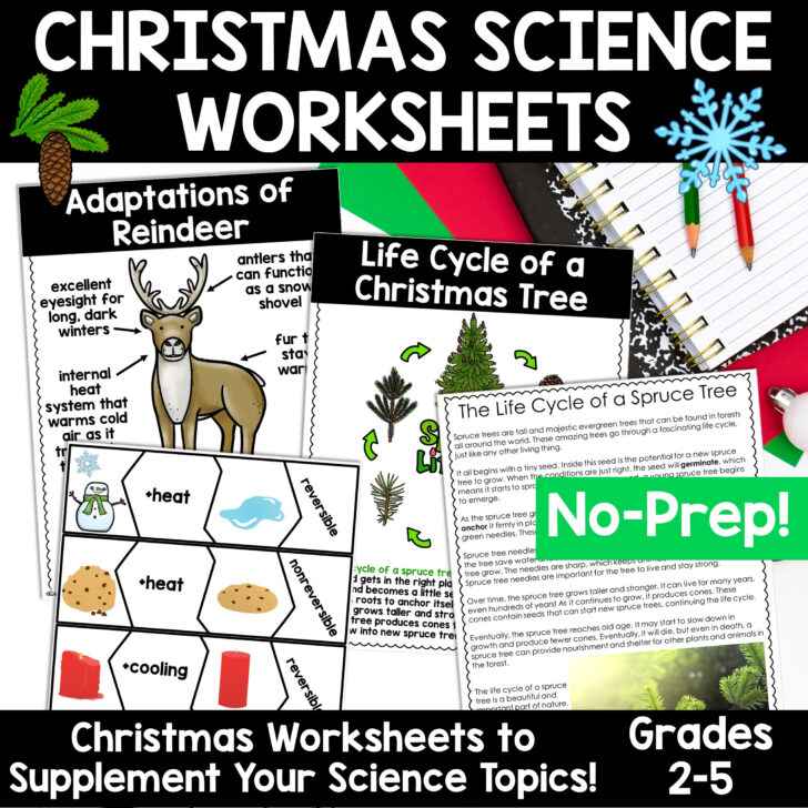 The Science of Christmas Question Worksheets The Science of Christmas Question Worksheets