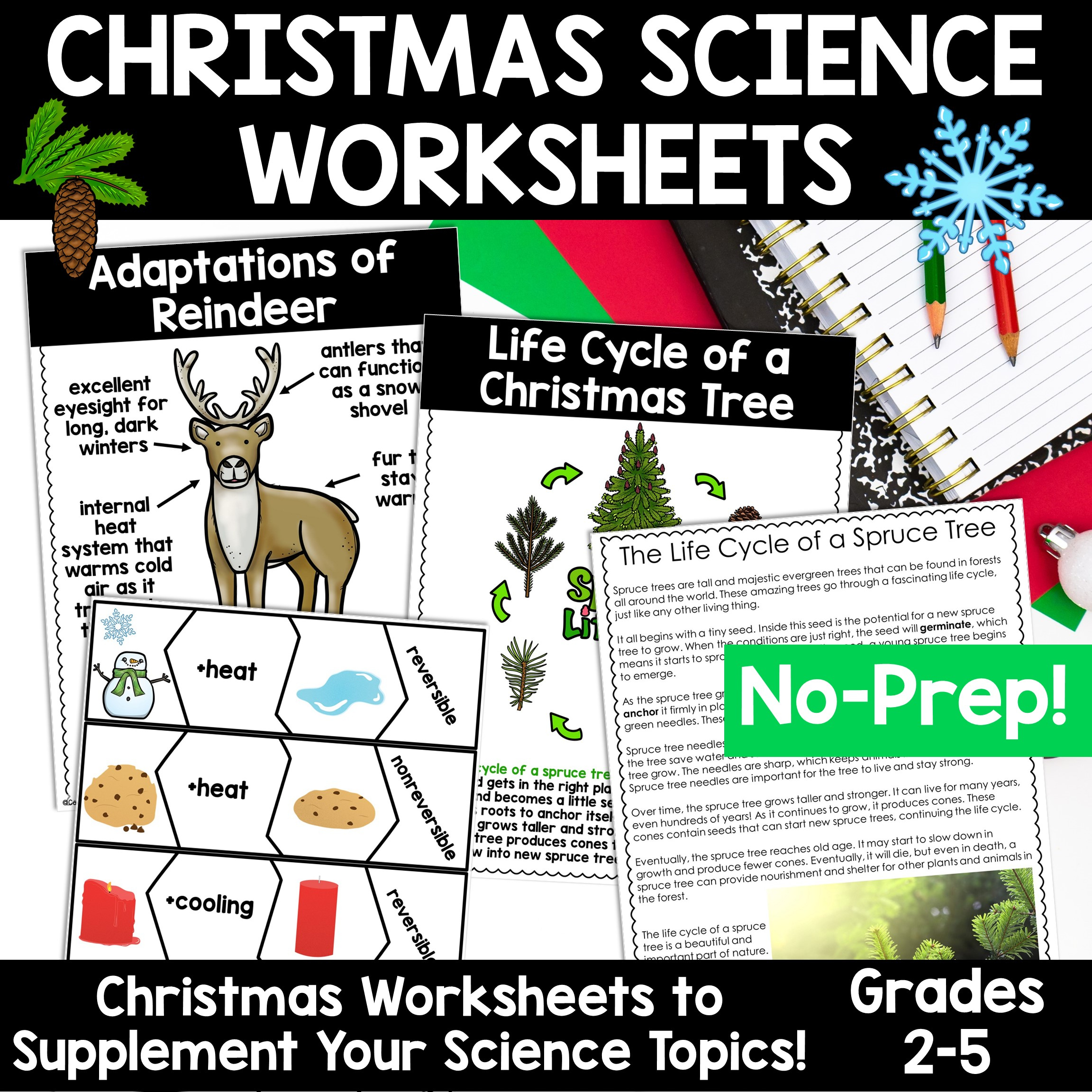 Christmas Science Worksheets No Prep Plants Animals Matter Winter regarding The Science of Christmas Question Worksheets