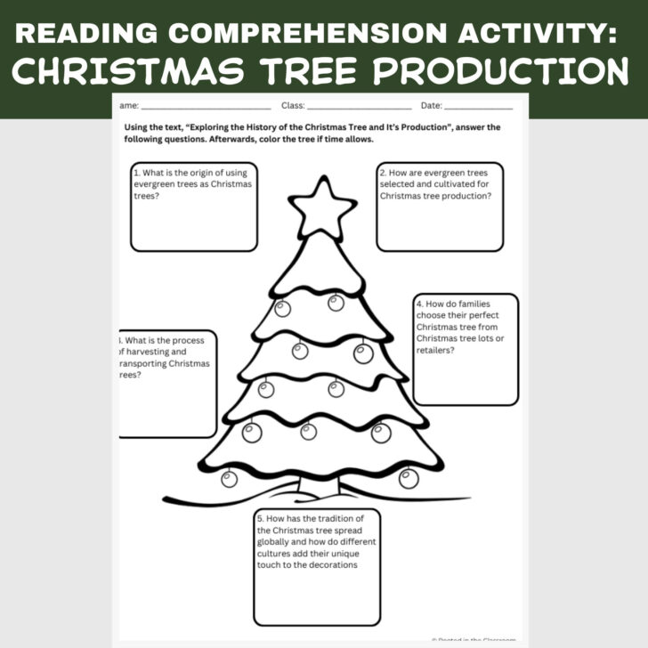 History of the Christmas Tree Worksheets